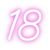 Custom neon sign 18