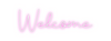 Custom neon sign Welcome